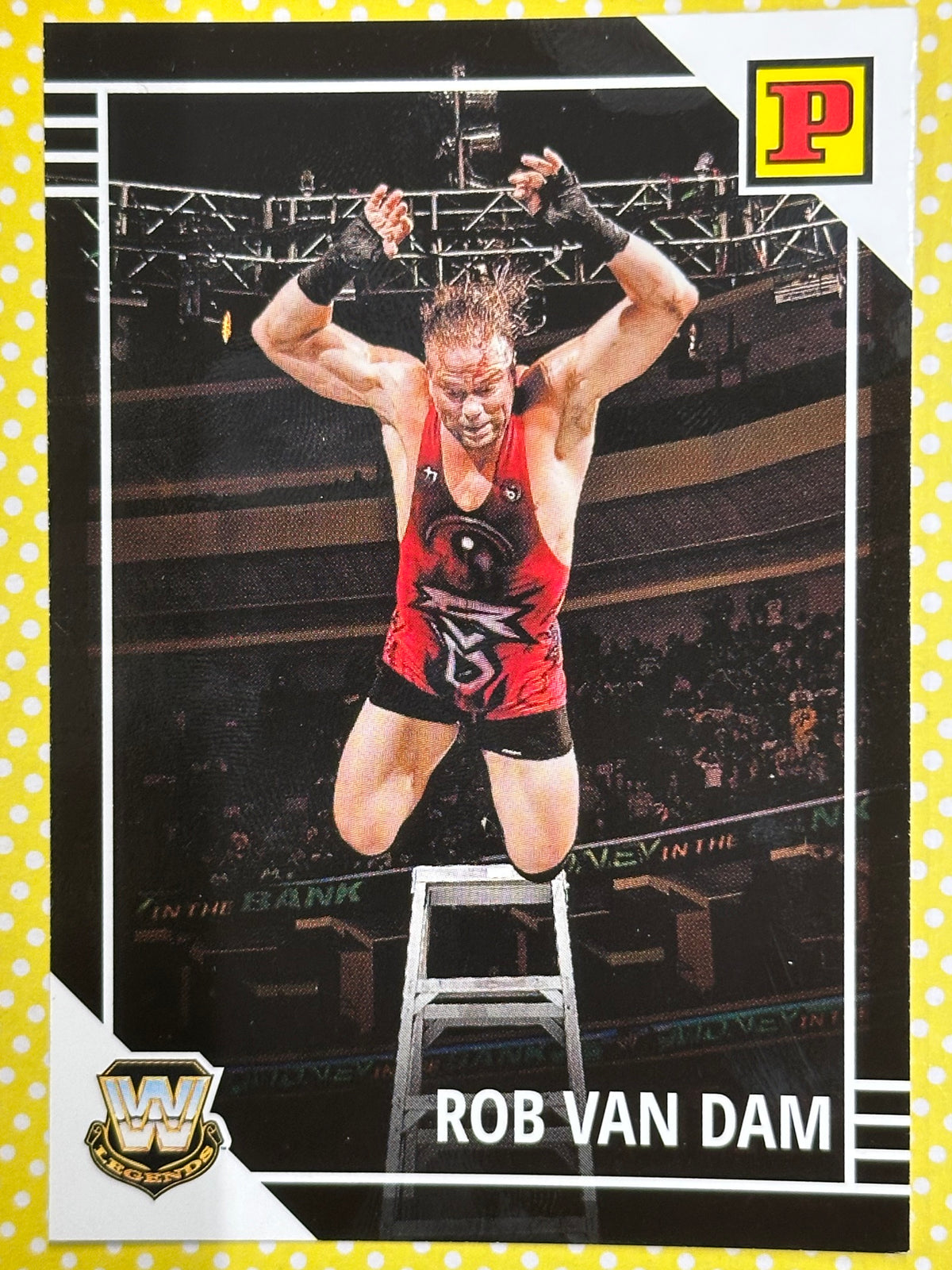 WWE Panini Trading Card - Rob Van Dam (Numero 108)
