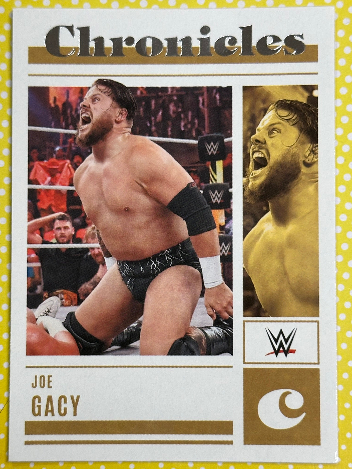 WWE Panini Trading Card - Joe Gacy (Numero 92)