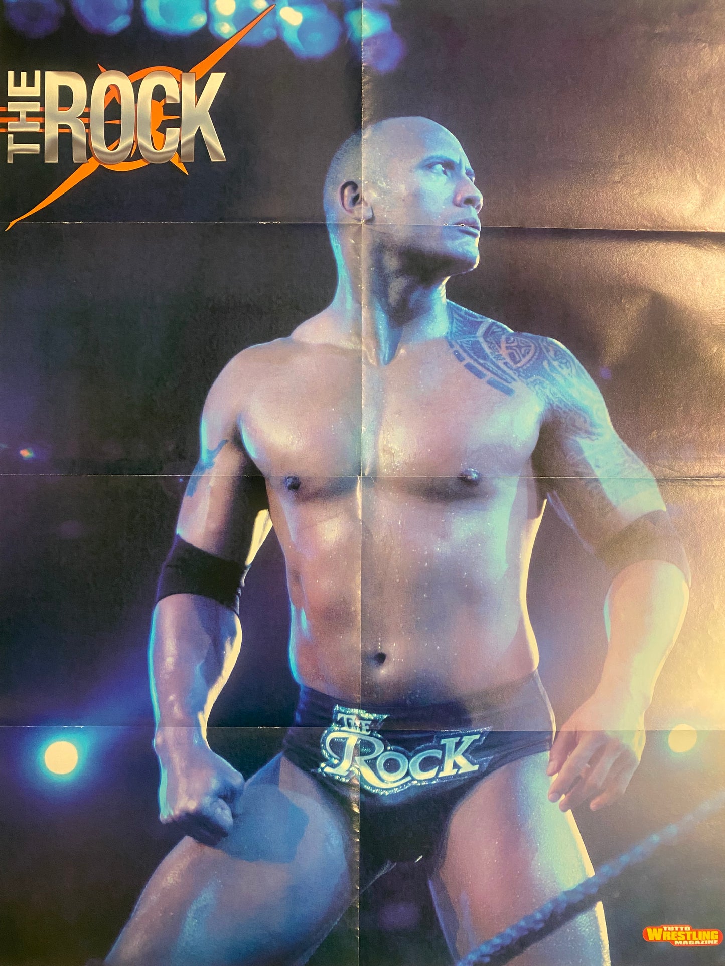 WWE Poster - Rob Van Dam / The Rock (Poster piegato con forature, 71x54cm)