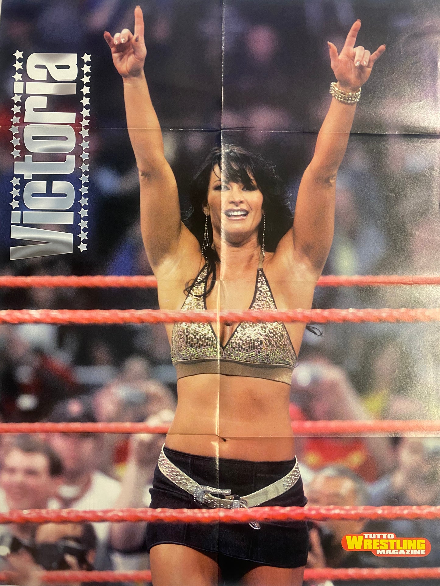 WWE Poster - Trish Stratus / Victoria (Poster piegato con forature, 71x54cm)