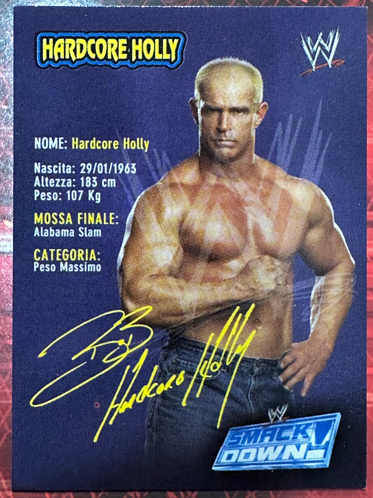 WWE Trading Card Prominter 2004 N. 044 - Hardcore Holly