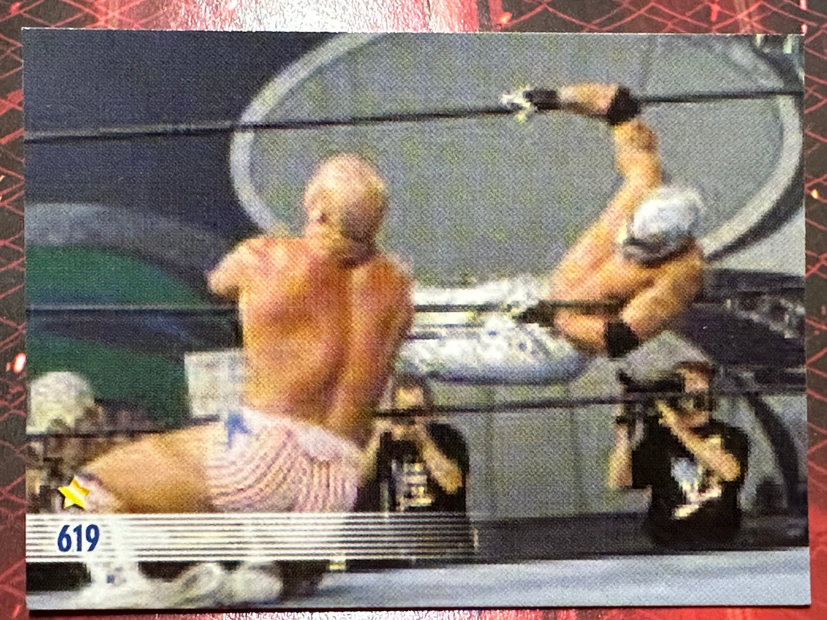 WWE Trading Card Prominter 2004 N. 073 - 619
