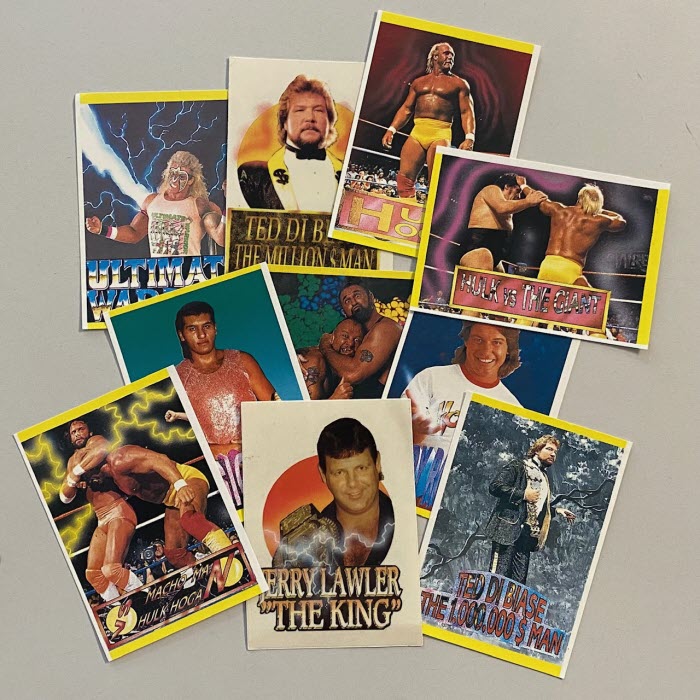 Superstars of Wrestling (1991) Scegli la figurina