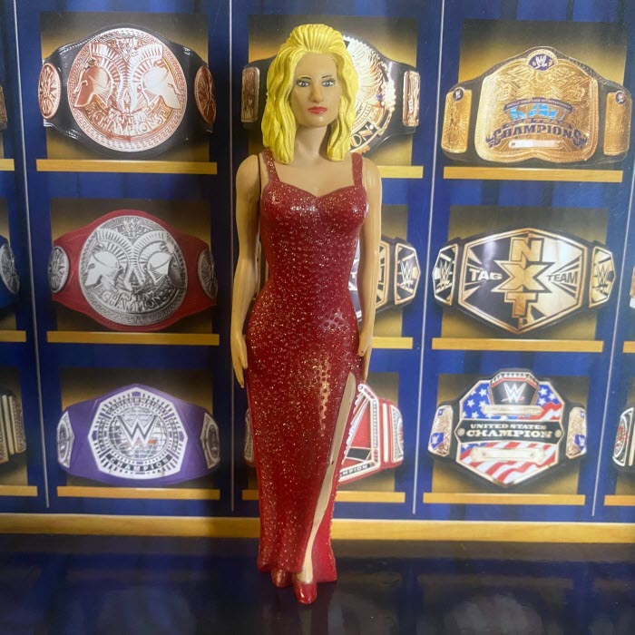 Ringside Collection (Jakks 1997) - Sable