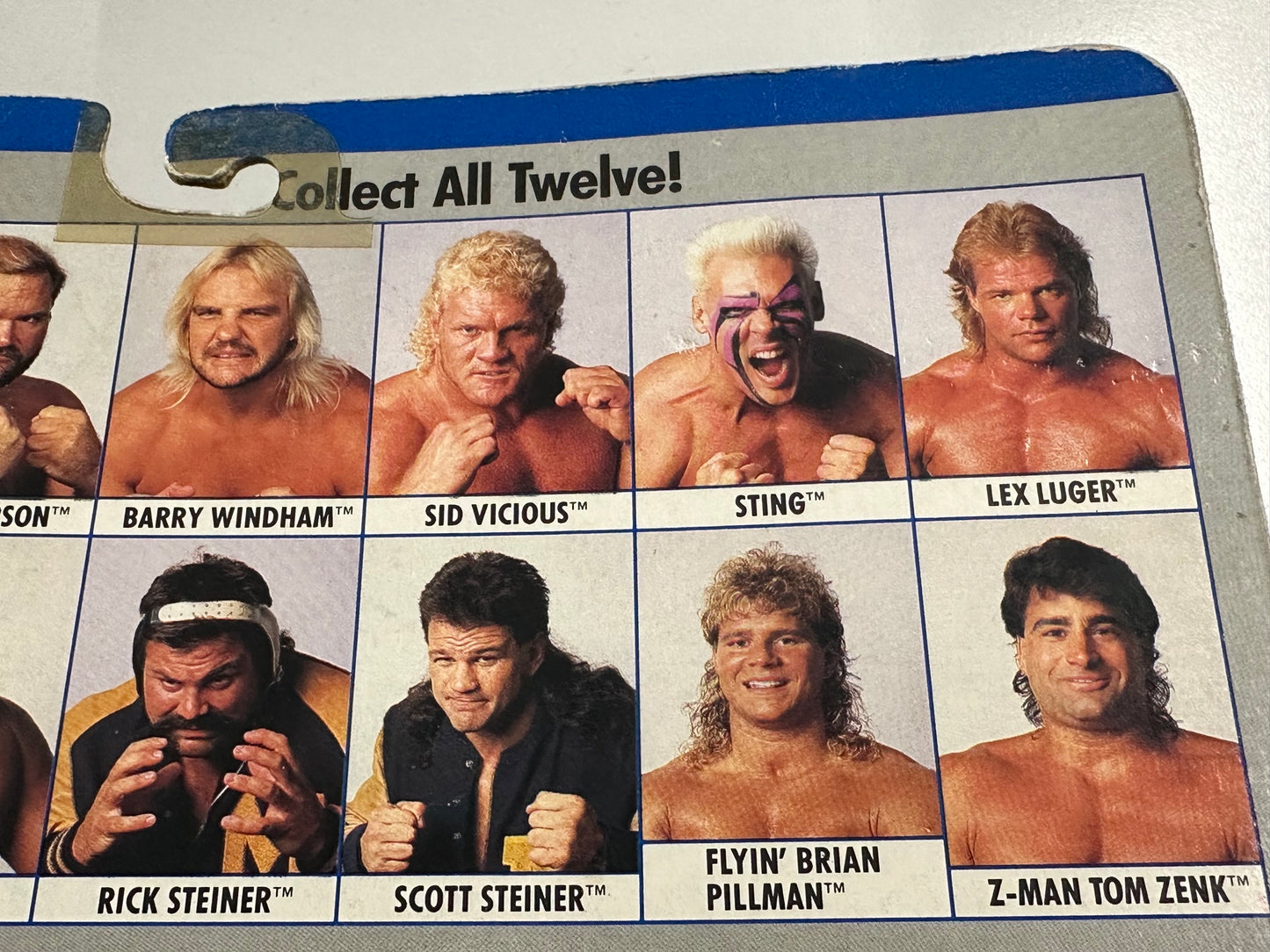 WCW Galoob MOC - Sting - English Card (Italian Import)