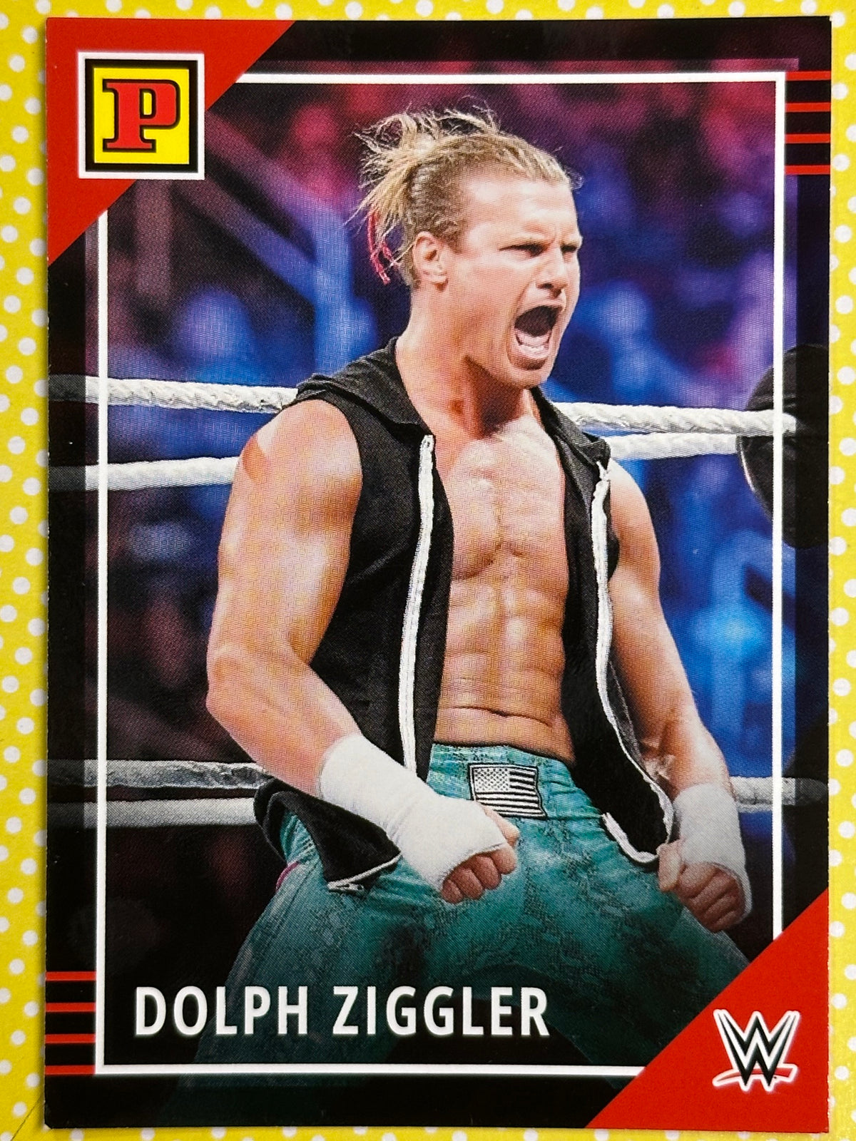 WWE Panini Trading Card - Dolph Ziggler (Nummer 14)