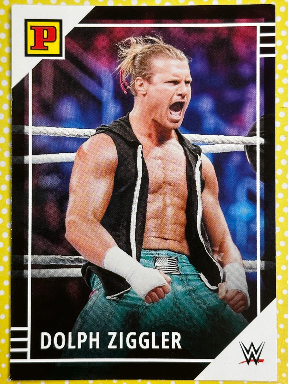 WWE Panini Trading Card - Dolph Ziggler (Nummer 14)