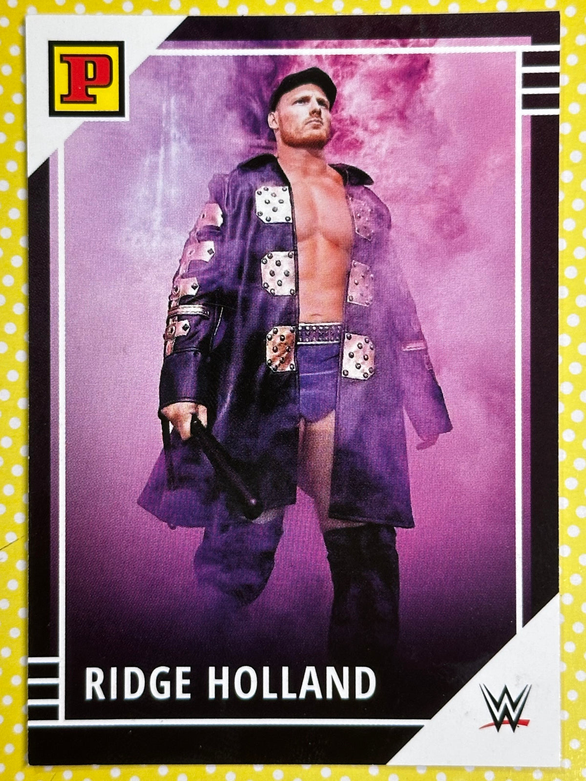 WWE Panini Trading Card - Ridge Holland (Numero 23)