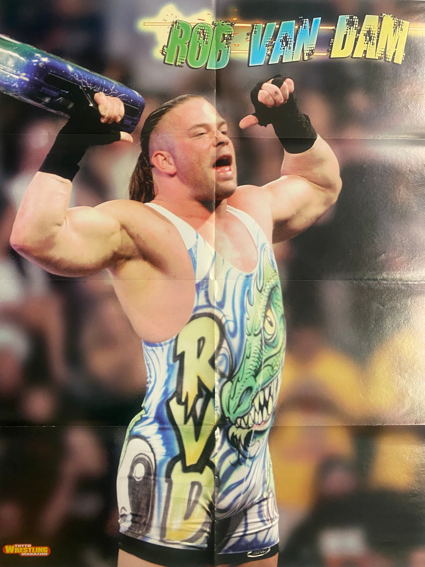 WWE Poster - Rob Van Dam / The Rock (Poster piegato con forature, 71x54cm)