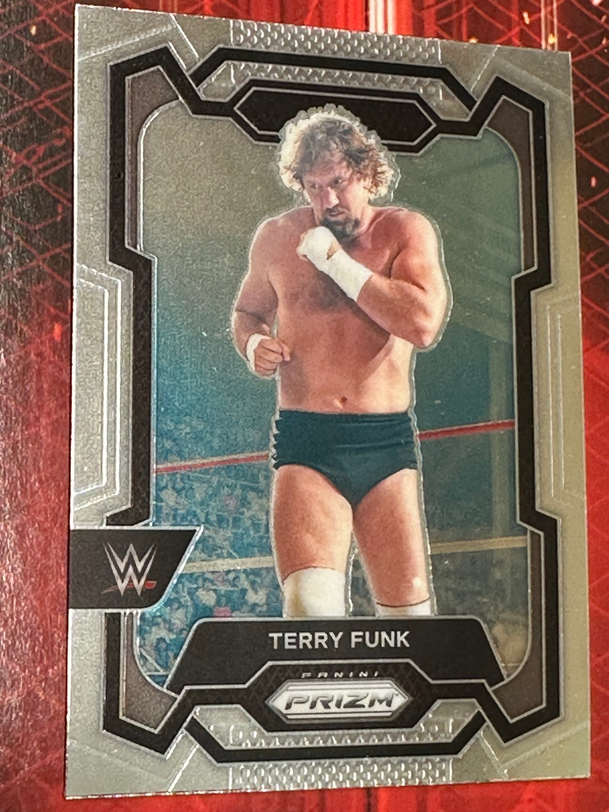 WWE Panini Prizm 2024 Sammelkarte Nr. 163 – Terry Funk