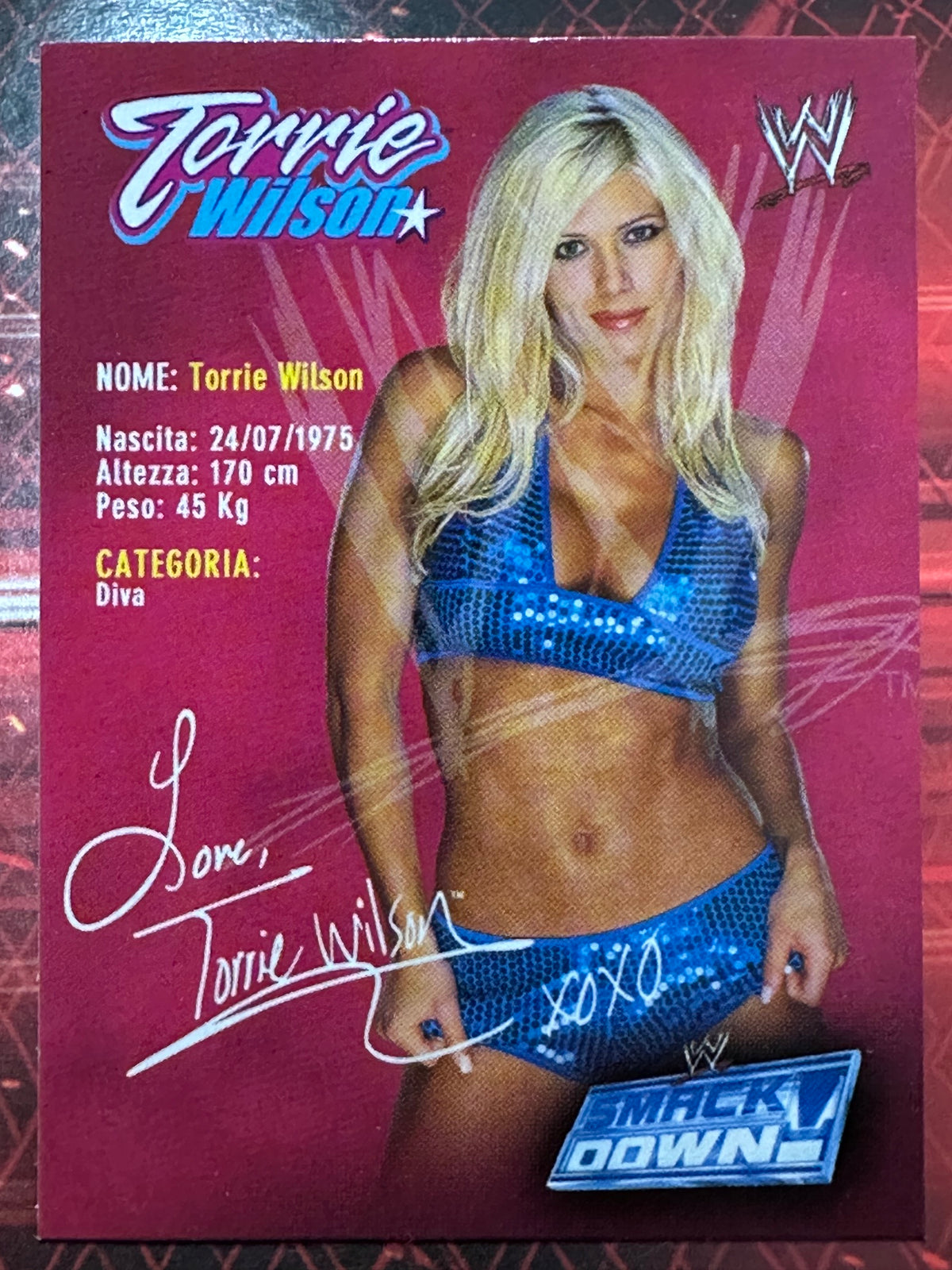 WWE Trading Card Prominter 2004 N. 060 - Torrie Wilson