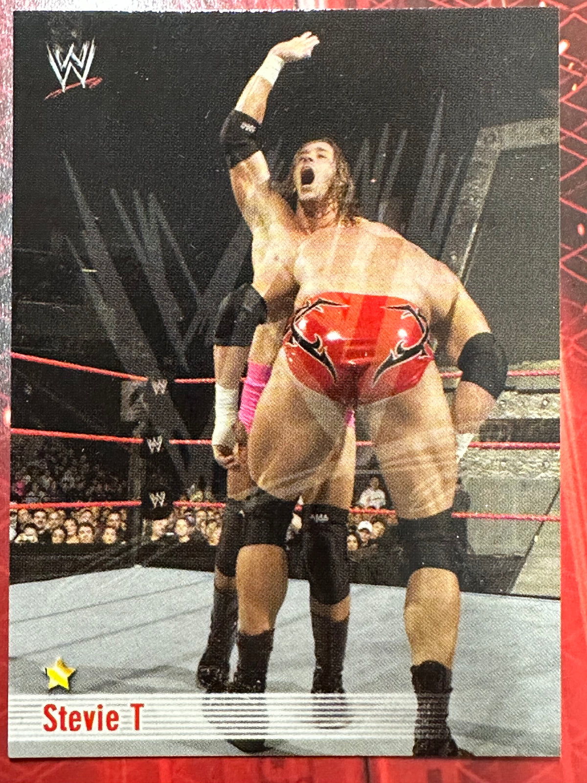 WWE Trading Card Prominter 2004 N. 091 - Stevie T