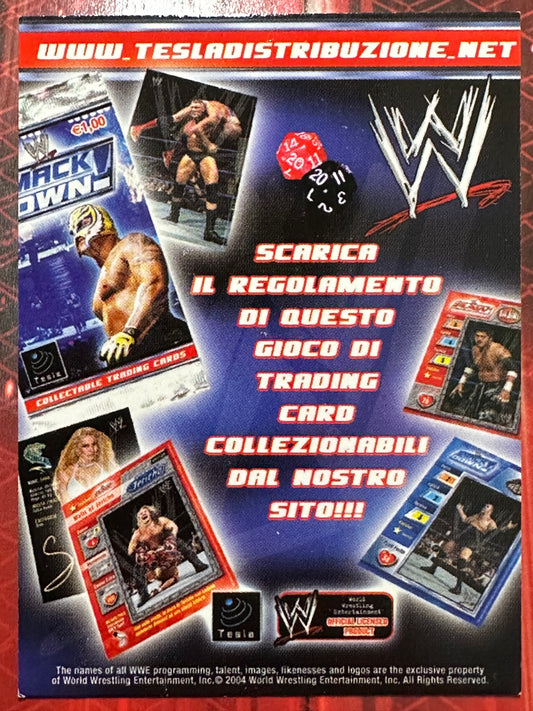 WWE Trading Card Prominter 2004 Card Pubblicitaria #1