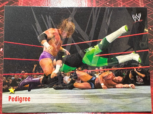WWE Trading Card Prominter 2004 N. 068 - Pedigree