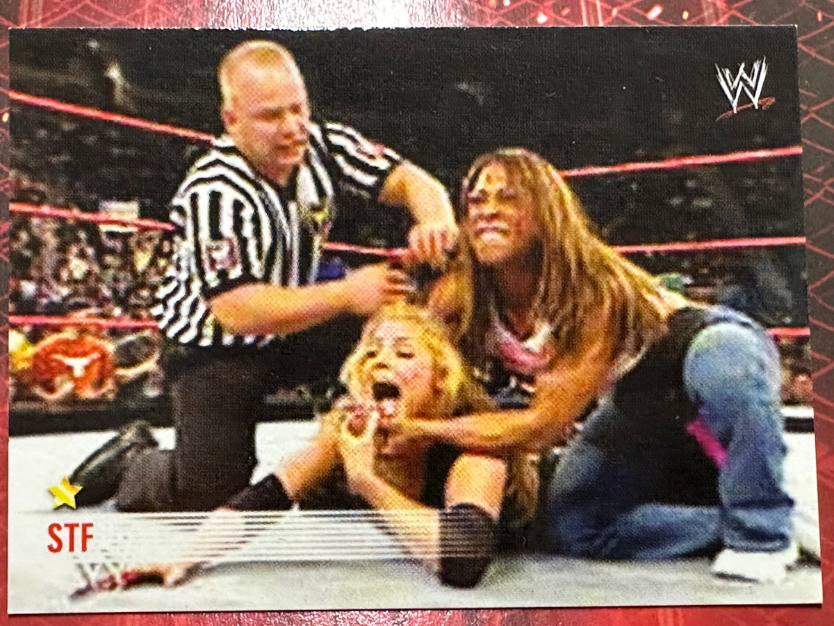 WWE Trading Card Prominter 2004 N. 085 - STF