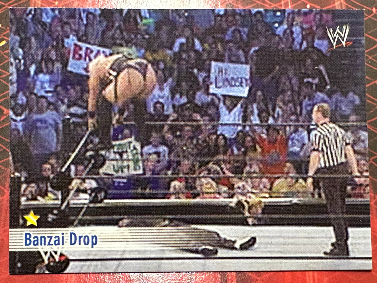 WWE Trading Card Prominter 2004 N. 098 - Banzai Drop