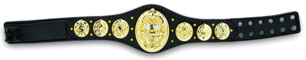 AEW Unrivaled Series 6 - Hikaru Shida *DMG*
