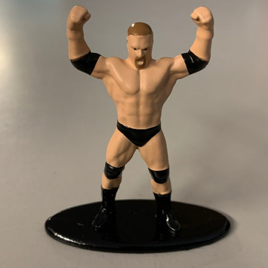 Internet Exclusive Nano Metalfigs - Triple-H