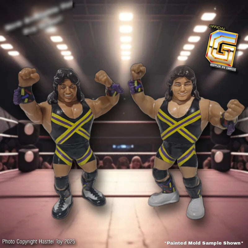 Hasttel Grapplers & Gimmicks - The New Rockers - Marty Jannetty & Al Snow Leif Cassidy