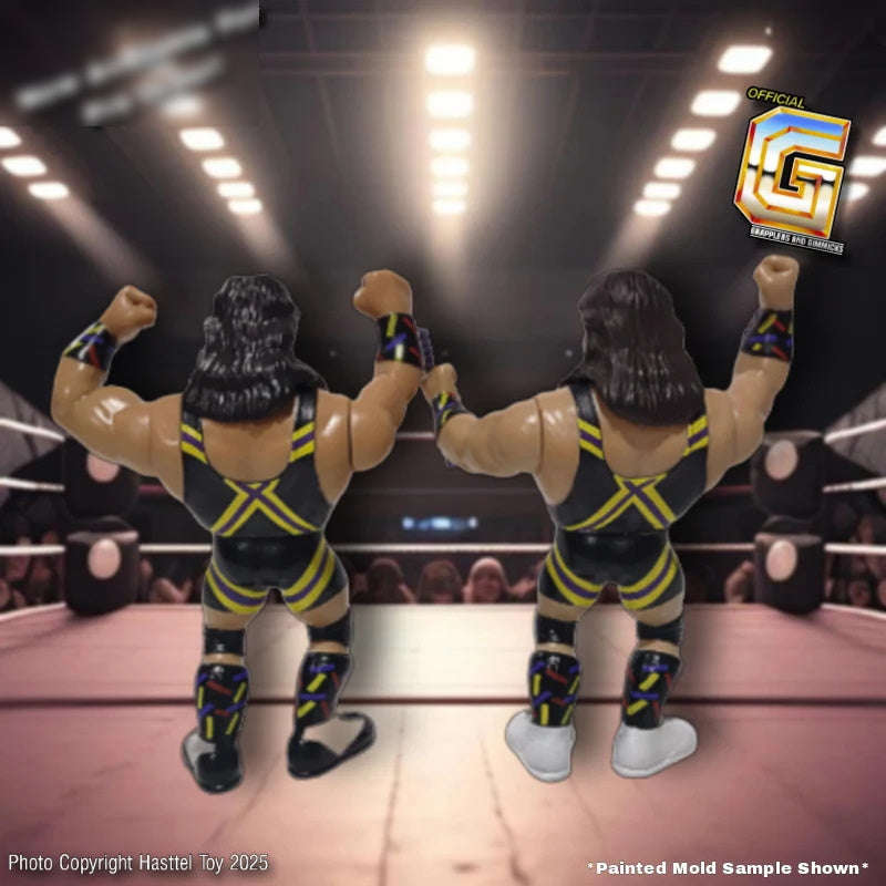 Hasttel Grapplers & Gimmicks - The New Rockers - Marty Jannetty & Al Snow Leif Cassidy